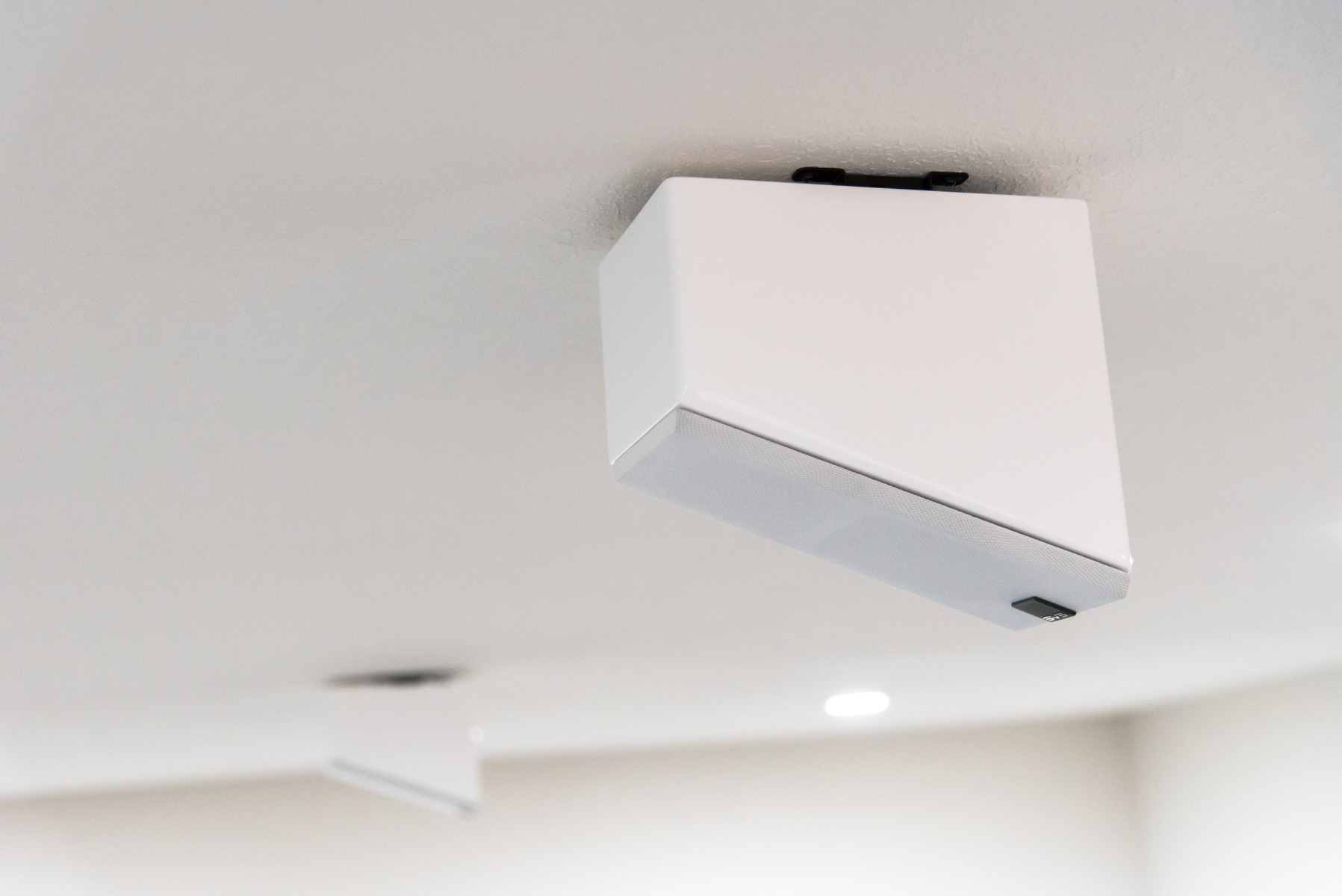 Prime Elevation Speaker