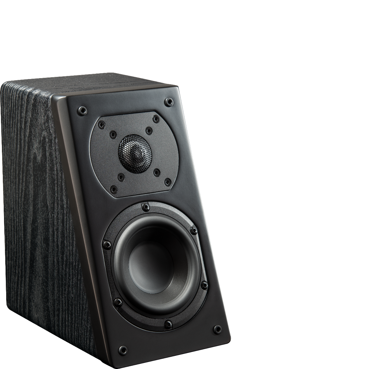 Prime Elevation Speaker