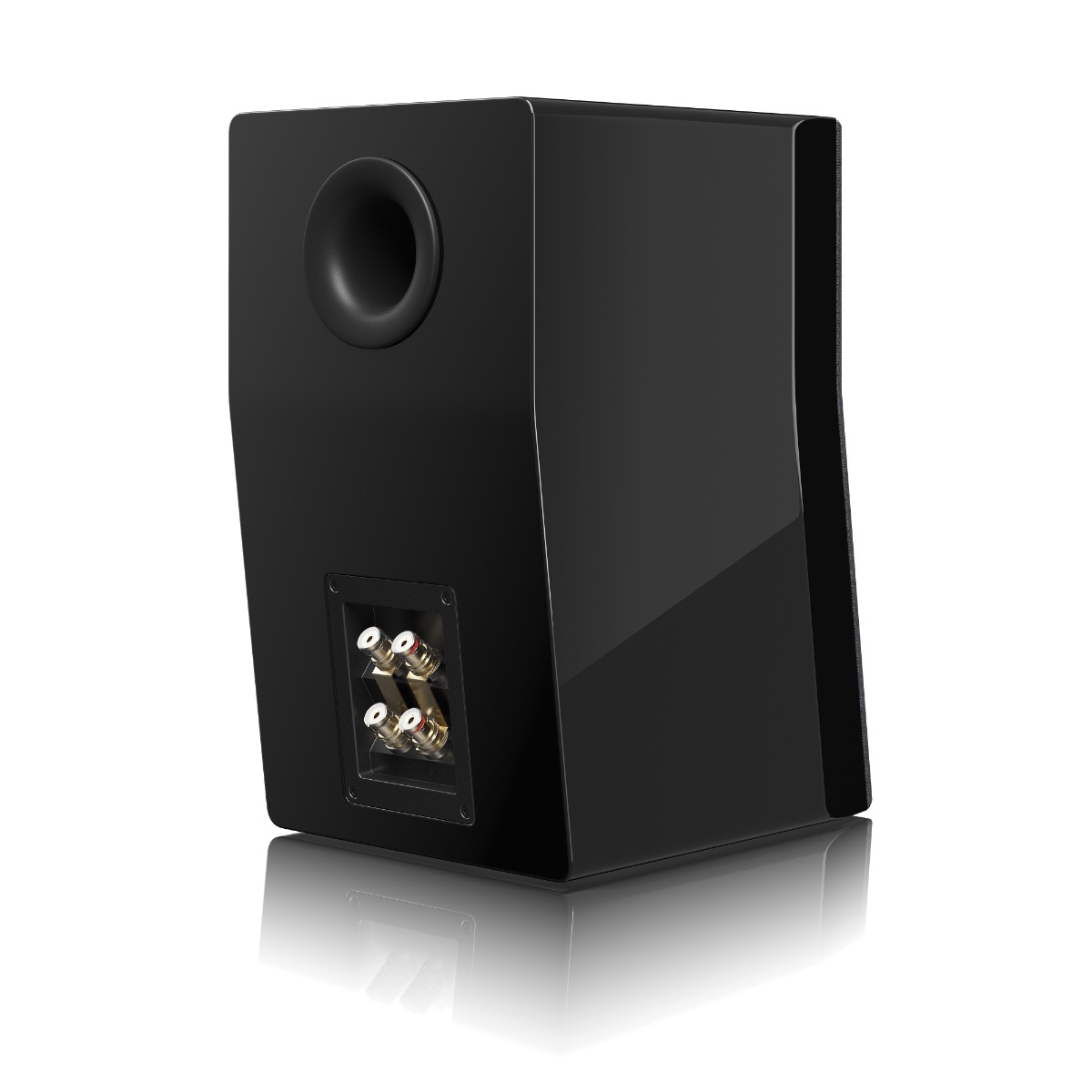 Ultra Evolution Bookshelf